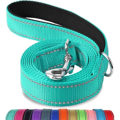 Laisse réfléchissante double face pour chien avec poignée rembourrée pour moyen et grand chien (1/5)