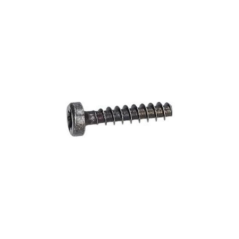 Vis a tete bombee torx pour Marteau perforateur BOSCH OUTILLAGES - 1619P00105