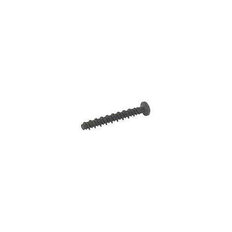 Tornillo BRIGGS ET STRATTON 690700