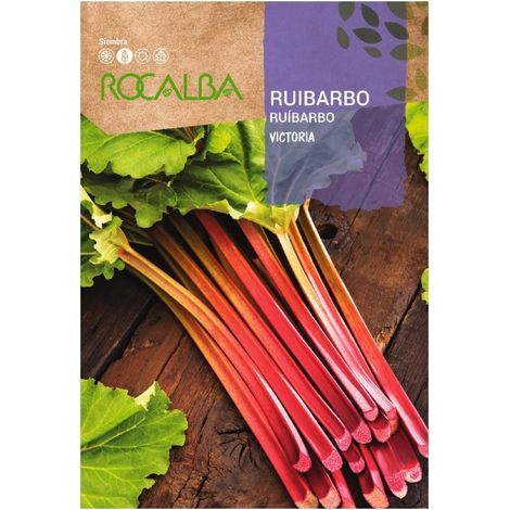 Rokalba Ruibarbo Victory Bags Seeds 1G