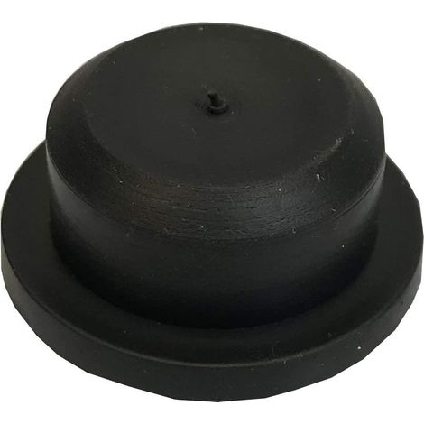 Lawn Roller Bung (1/5)