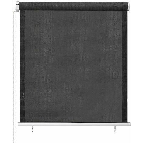 Maison Exclusive - Store roulant d'extérieur 65 (l) x 140 (H) cm anthracite