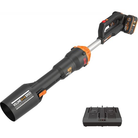 Souffleur siphon Nitro sans fil avec 2 batteries 20V/4Ah Brushless, chargeur double rapide Worx WG585E (1/5)