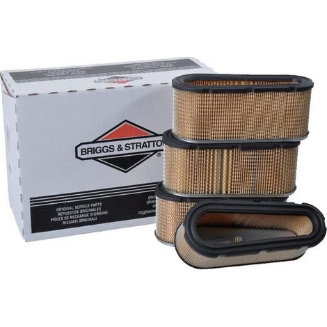 Filtre à air Briggs et Stratton - 4139 (1/4)