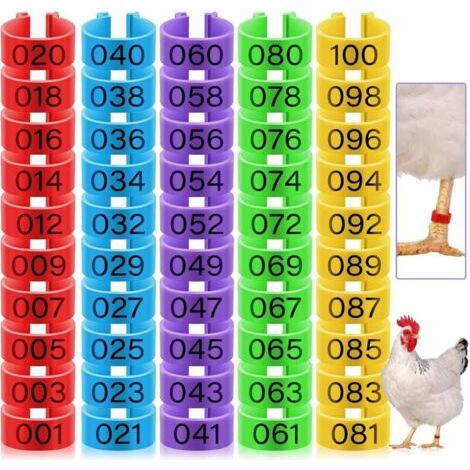 100 anneaux pour cuisses de poulet, 16 mm, 5 couleurs numérotées, adaptés à la volaille (canards, poussins, pigeons, oies, etc.) (1/4)