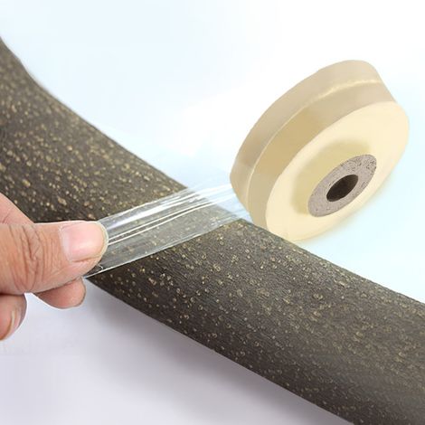 rouleau de ruban adhésif flexible et extensible transparent pour greffage, idéal pour le jardin (2 cm). (1/5)