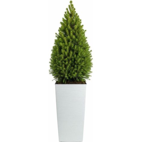 Maceta Porto Riflo blanca, 75 x 39,6 x 39,6 cm.