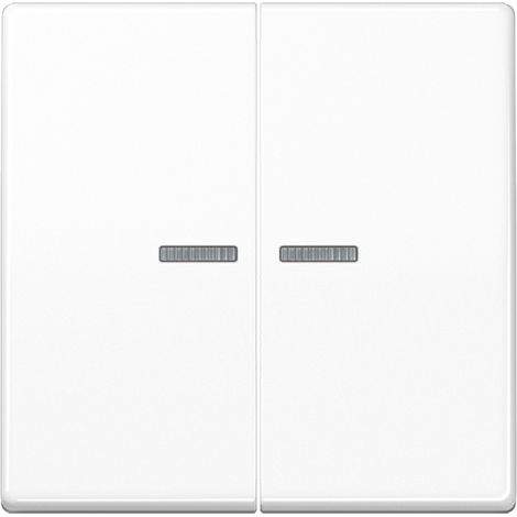 JUNG HOME Taster 2fach, mit Lichtleiter, Duroplast, Serie A, alpinweiß BT A 17102 WW (1/5)