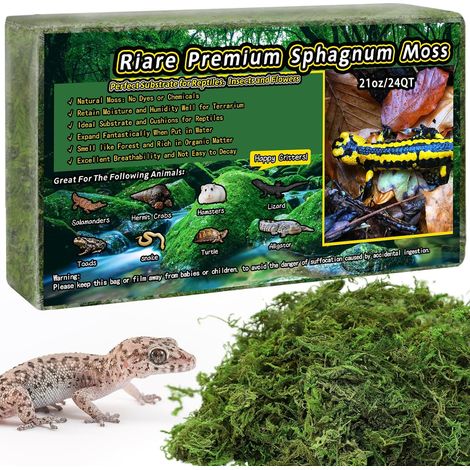 Mousse de sphaigne Naturelle pour Reptiles - Mousse Verte Vivante pour Terrarium, éclosion, substrat de sphaigne forestière pour Serpents, Gecko (600g) (1/5)