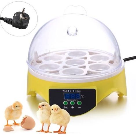 Couveuse - Homdox Mini Incubateur Capacité 7 oeufs outil de l\'éclosion (1/4)
