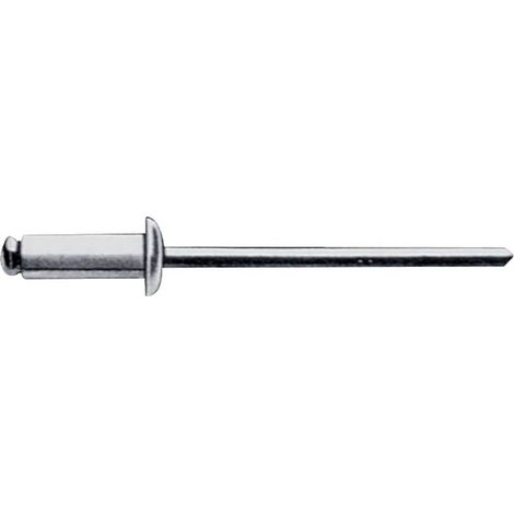 Gesipa 1454614 Rivetto Acciaio Acciaio 500 pz. (1/5)
