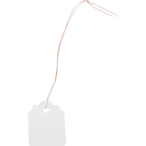 Weiße Gartenetiketten, 200 Stück, wetterfeste PVC-Setzlingsmarkierung, Hängeschild für Pflanzen und Blumen im Freien, Beschriftung von Gemüsegärten. (1/5)