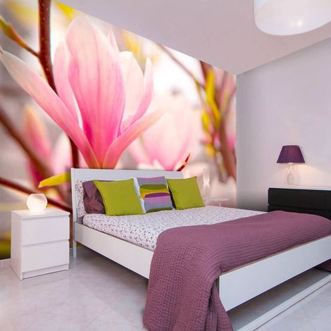 Papier peint magnolia en fleurs - 400 x 309 cm