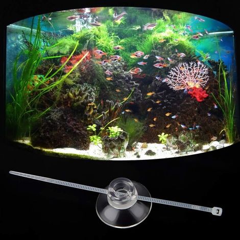 Ventouses pour Aquariums en Verre et Acrylique – 20 Ventouses pour Tuyaux de Chauffage et Tubes d'air