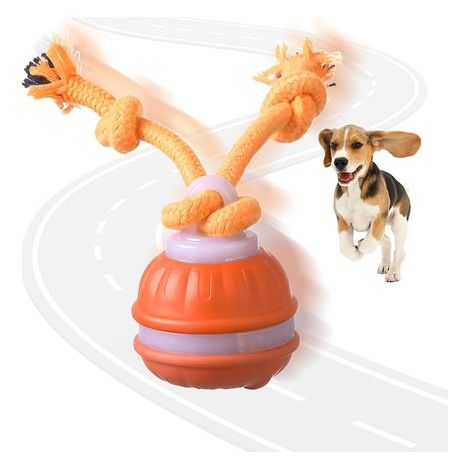 Balle interactive pour chien, jouet interactif intelligent pour lutter contre l'ennui, balle roulante automatique avec queue, balles activées par le mouvement pour chiots et autres animaux. (1/5)