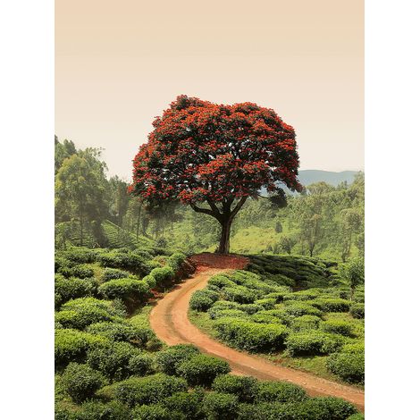 Papier peint panoramique arbre rouge | Tapisserie panoramique nature rouge & vert idéale salon | Papier peint panoramique paysage escalier - 192 X 260 cm (4 pièces) (1/2)