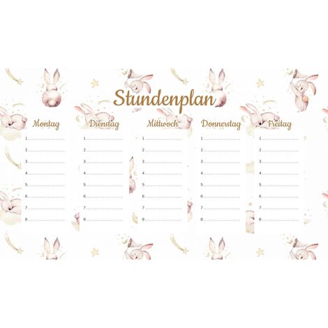Plan de cours magnétique pour enfants : Lapin mignon 45 x 26 cm