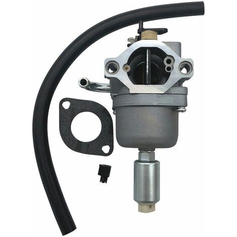 New carburetor 796109 591731 594593 (1/5)