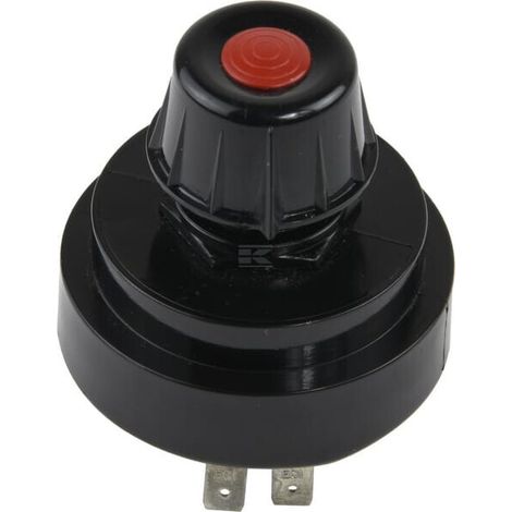 Schalter RAICO 3300530M91N (1/3)