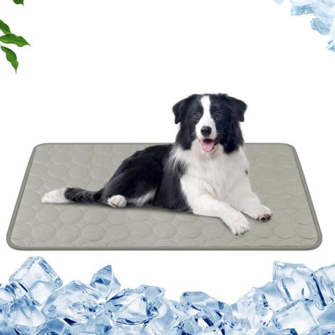 Tapis rafraîchissant pour chiens, coussin rafraîchissant en soie glacée, lit rafraîchissant non toxique pour chiens et chats, tapis d'été pliable pour animaux, tapis anti-chaleur (1/5)