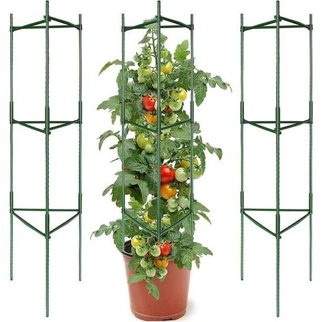 Pack Garden Plant Support Cages, Tomato Cages, Plant Cage, Plant Trellis, Tomato Support Sticks, Support Trellis for Climbing Plants MUMU (1/4)