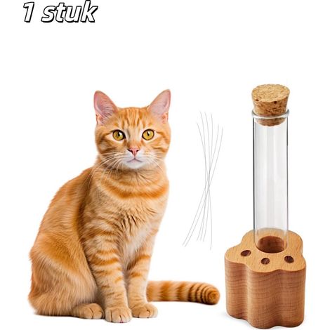 collecteur de poils d animaux mini vase en verre avec socle en bois pot de rangement pour poils de chat souvenir élégant couleur jaune pour amoureux des animaux (1/5)
