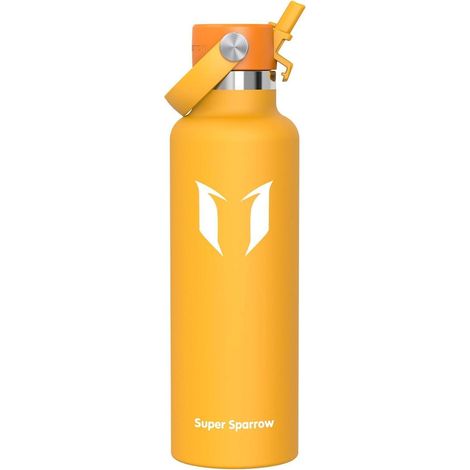 Trinkflasche Edelstahl BPAfrei Strohhalm 500ml 750ml 1L 750 ml C Mango (1/5)