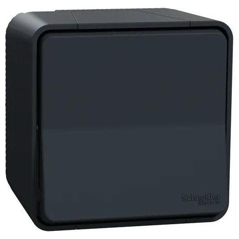 Interruttore a bilanciere grigio Schneider Electric MUREVA STYL