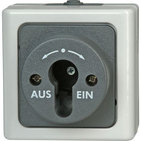 Kopp 561756017 1 Stück Feuchtraum-Schalterprogramm Komplett Schlüsselschalter BlueElectric Grau