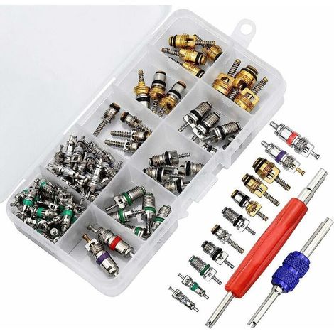 102pcs Noyau de Valve de Climatisation, R134A Noyaux de Tige de Soupape de Climatisation Automobile avec Outil de Suppression pour la Réparation de l'Air de Voiture (1/4)