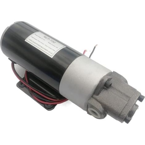 Pompe à Huile DC12V Moteur Pompe à Huile Diesel Pompe hydraulique électrique Petite Pompe à Huile DC Micro Pompe à Engrenages Pompe à Huile à Engrenages graisseur(ROP-10A,220) (1/5)