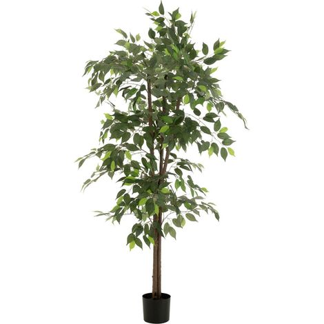 Plante Artificielle en Pot "Ficus" 180cm Vert (1/2)