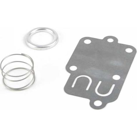 Membrane carburateur joint pour Briggs & Stratton 270026 (1/3)