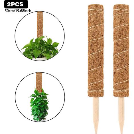 Tuteur en fibre de coco, support pour plantes, base pointue robuste, 50 cm, lot de 2 (1/5)