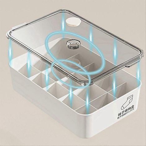 Grande boîte de rangement anti-poussière avec couvercle, sans compartiments, capacité spacieuse (1/5)