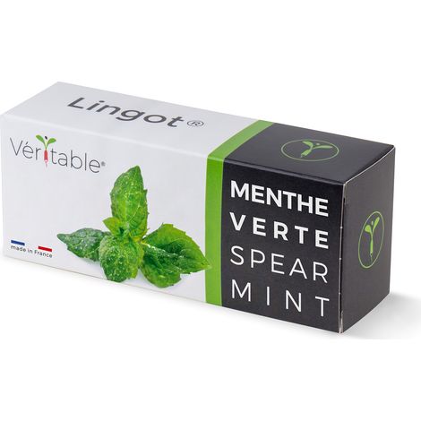 LINGOT MENTHE VERTE (1/5)