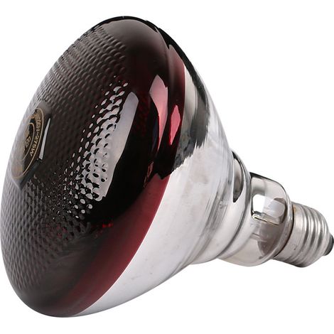 Ampoule chauffante-chauffage vétérinaire-lampe d'isolation pour couvaison de poulets et d'élevage de bétail