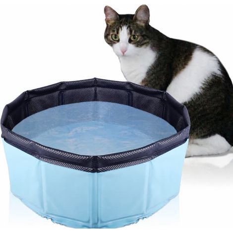 Piscine pliable pour chat en PVC, baignoire pliable pour chat et chaton - gain de place, économie d'eau, facile à ranger, bleue (1/5)