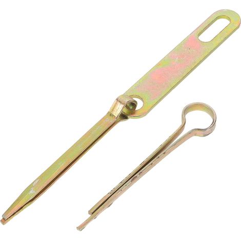 Loquet de Porte Vintage en Métal Renforcé (1/5)
