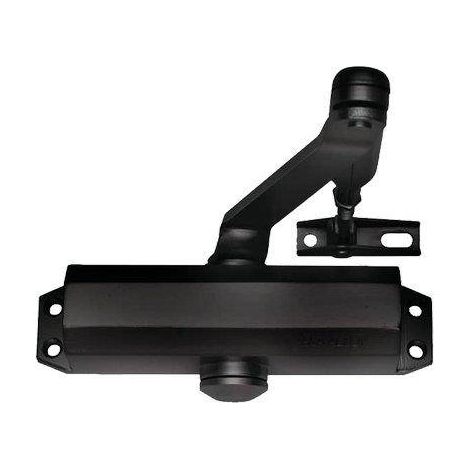 CHIUDIPORTA OLEODINAMICO DC110 ASSA ABLOY