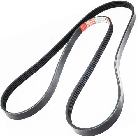 CINGHIA COSTINATA SERIE PK  5PK1635 (1/2)