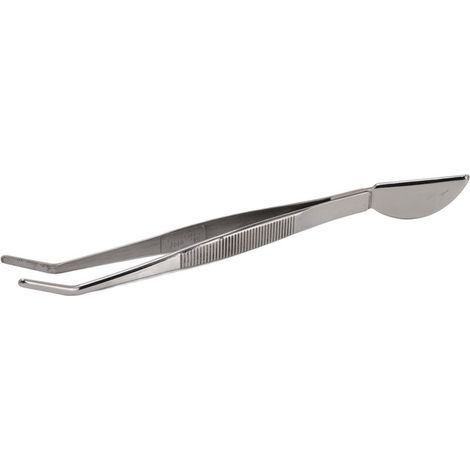 Pincettes à bonsa en acier inoxydable, longues pinces avec tête de spatule en croissant de lune pour ameublir le sol en pot, rabotage de l'herbe, Style incurvé (1/5)