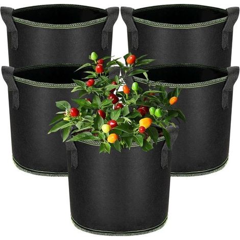 Confezione da 5 sacchetti per piante – Vasi da fiori in tessuto non tessuto con manici – Riutilizzabili – Sacchi per piantare alberi – Vassoi per piantine – Fragole, pomodori – 35x28 cm (1/5)