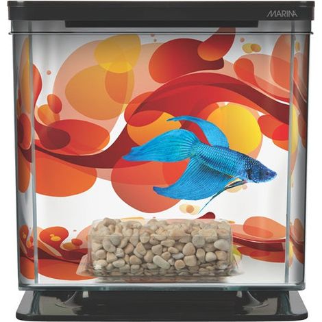 Marina Bettera - Aquario para Bettas de Diferentes Colores