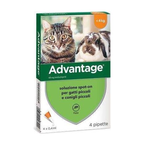 Antiparasitario Advantage Gatos Elanco