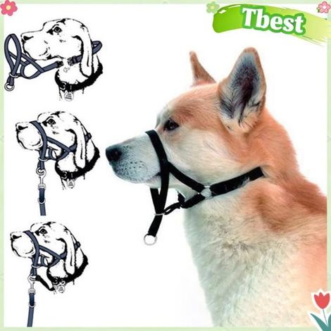 Tbest Corde de bouche de chien Dog Mouth Rope Ajustable Pour Empêcher De Mordre Idéal Pour Dressage De Chien Po animalerie soin (1/5)