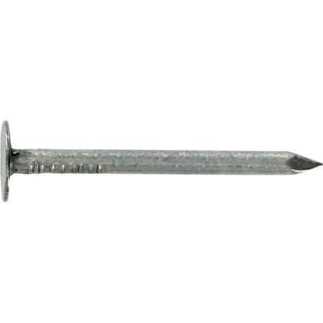 Beutel 80 g Spitze TPL galvanisiert 2,7x30 - VYNEX - 310178014930 (1/2)