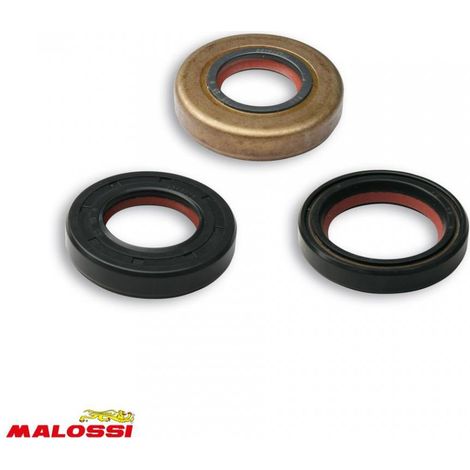 Dichtungstasche spi unten Motor malossi für Motorrad aprilia 50