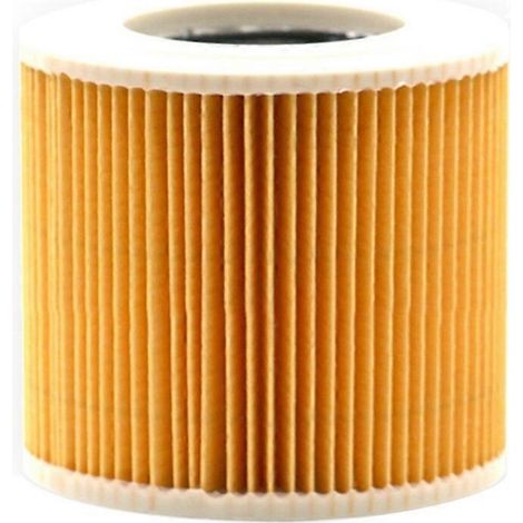 Cartouche filtrante pour kit cheminée Karcher WD 3.500 P, A1000, A1001, MV2, MV3, K 2000, K 2150, K 2301, K 2901 F, K 4000 TE (1/2)