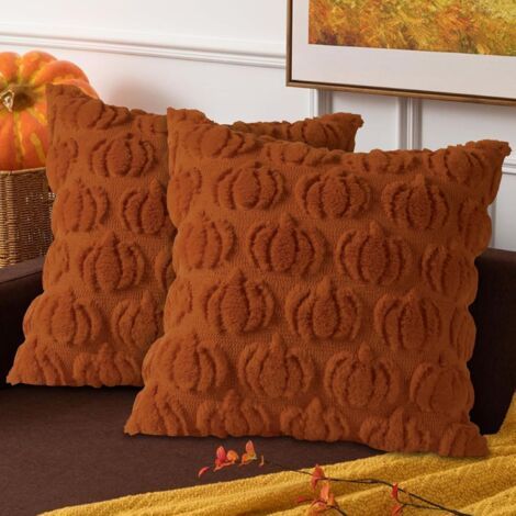 Lot de 2 housses de coussin décoratives d'automne 45 x 45 cm, housse de coussin citrouille 45 x 45 cm, taies d'oreiller, housse de coussin pour canapé style ferme, Thanksgiving, Halloween (roug (1/5)